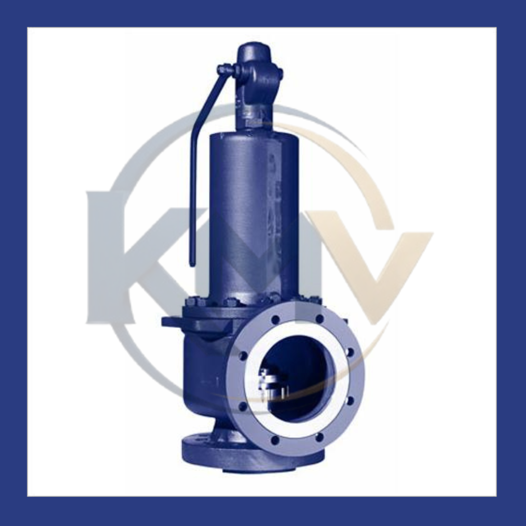 Spring Loaded Safety Valve